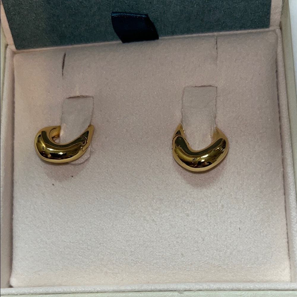 Elegant Gold Hoop Earrings